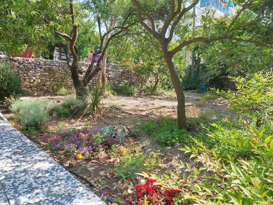 Mel'S Garden House In The Heart Of The City Bodrum Dış mekan fotoğraf