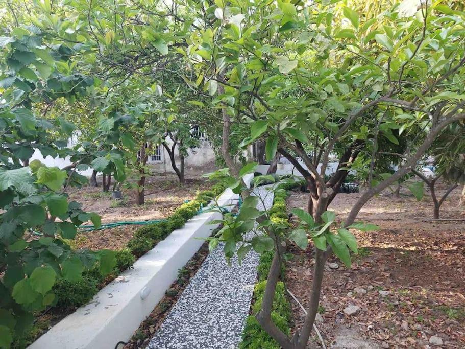 Mel'S Garden House In The Heart Of The City Bodrum Dış mekan fotoğraf