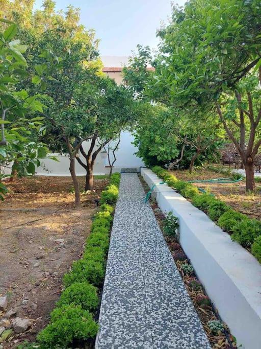 Mel'S Garden House In The Heart Of The City Bodrum Dış mekan fotoğraf