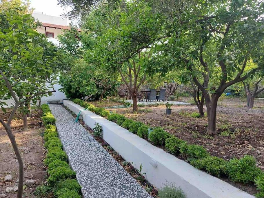 Mel'S Garden House In The Heart Of The City Bodrum Dış mekan fotoğraf