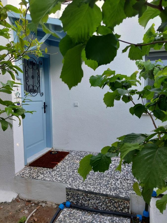 Mel'S Garden House In The Heart Of The City Bodrum Dış mekan fotoğraf